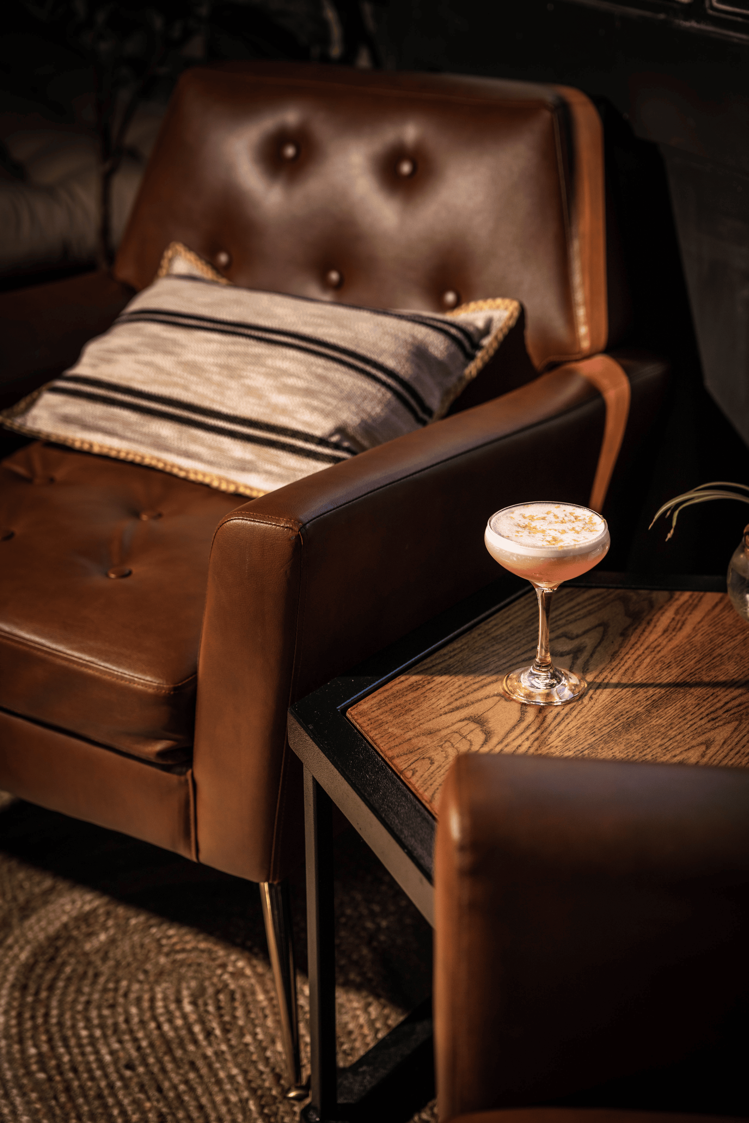 Website/Gallery: section:gallery, source:site - Dram SpringMenu