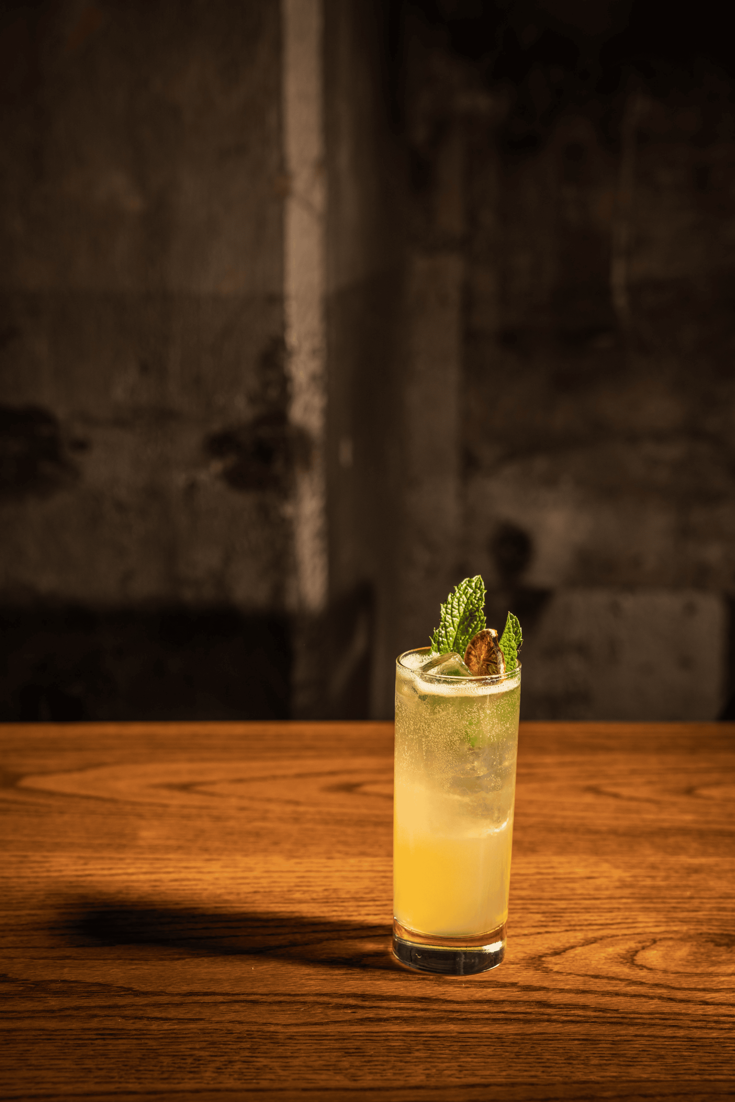 Website/Gallery: section:gallery, source:site - Dram SpringMenu