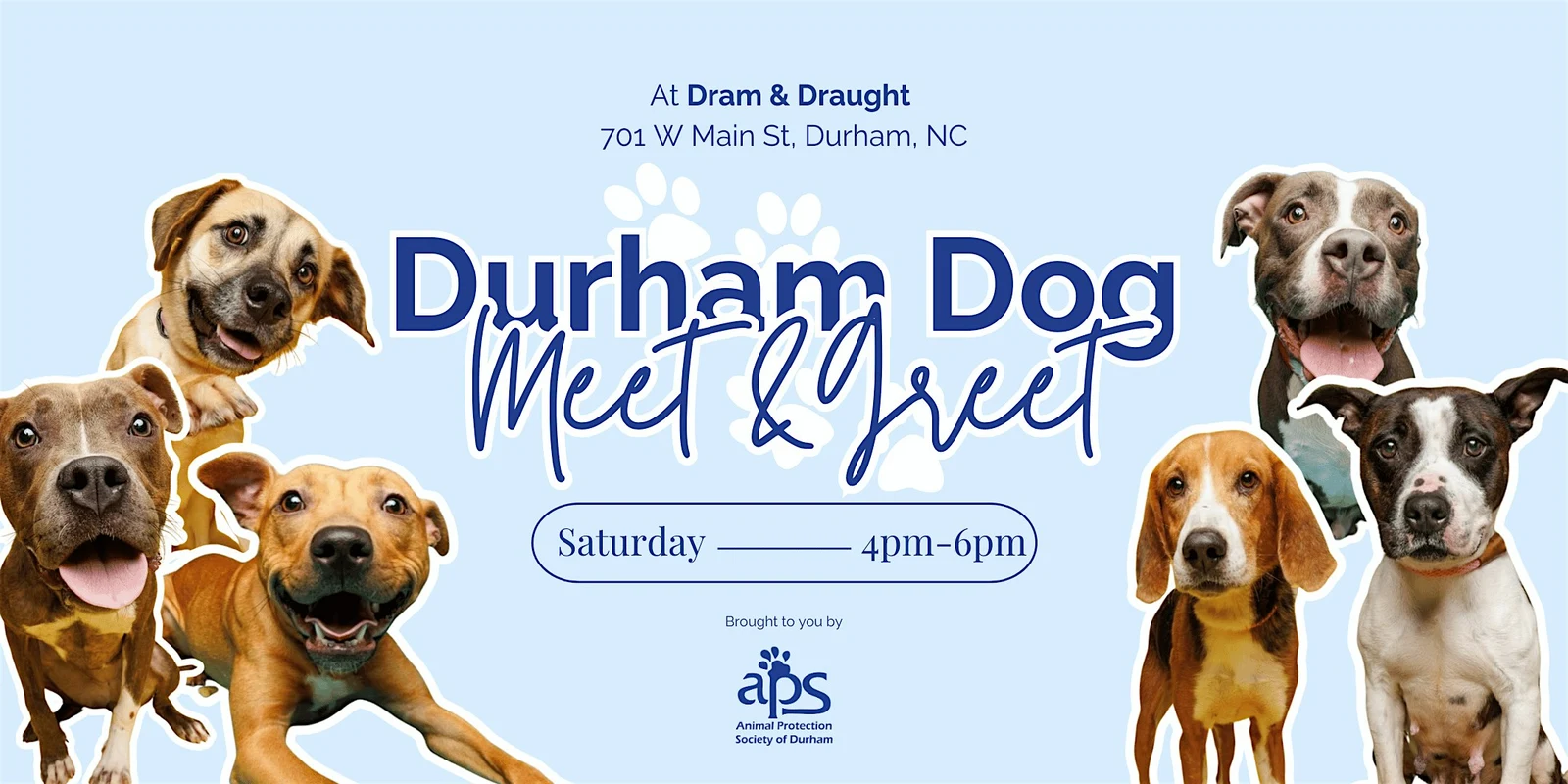 Durham Dog Meet & Greet